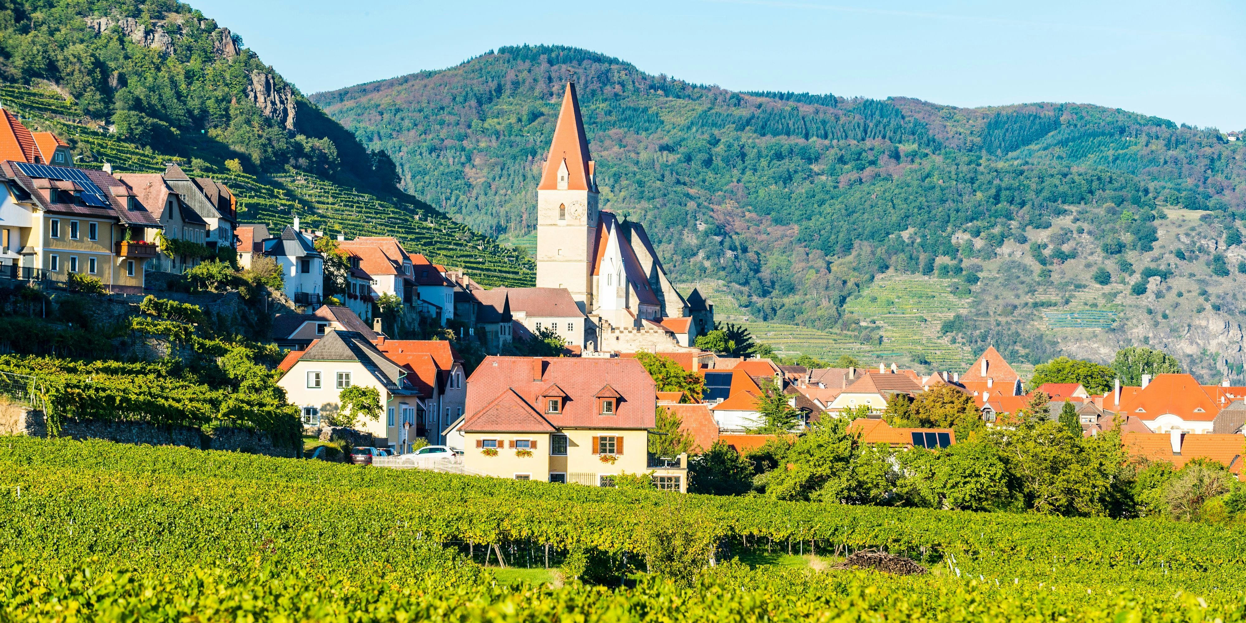 Blick auf die Pfarrkirche Mariä Himmelfahrt in Weißenkirchen in der Wachau. (Archivbild)