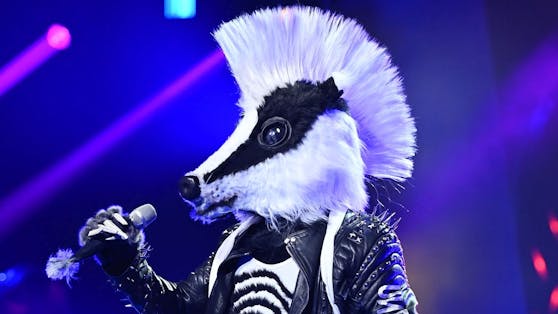 Der Frechdachs musste im Halbfinale von "The Masked Singer Austria" gehen. Unter der Pelz-Maske versteckte sich sogar ein wahrer ESC-Star.