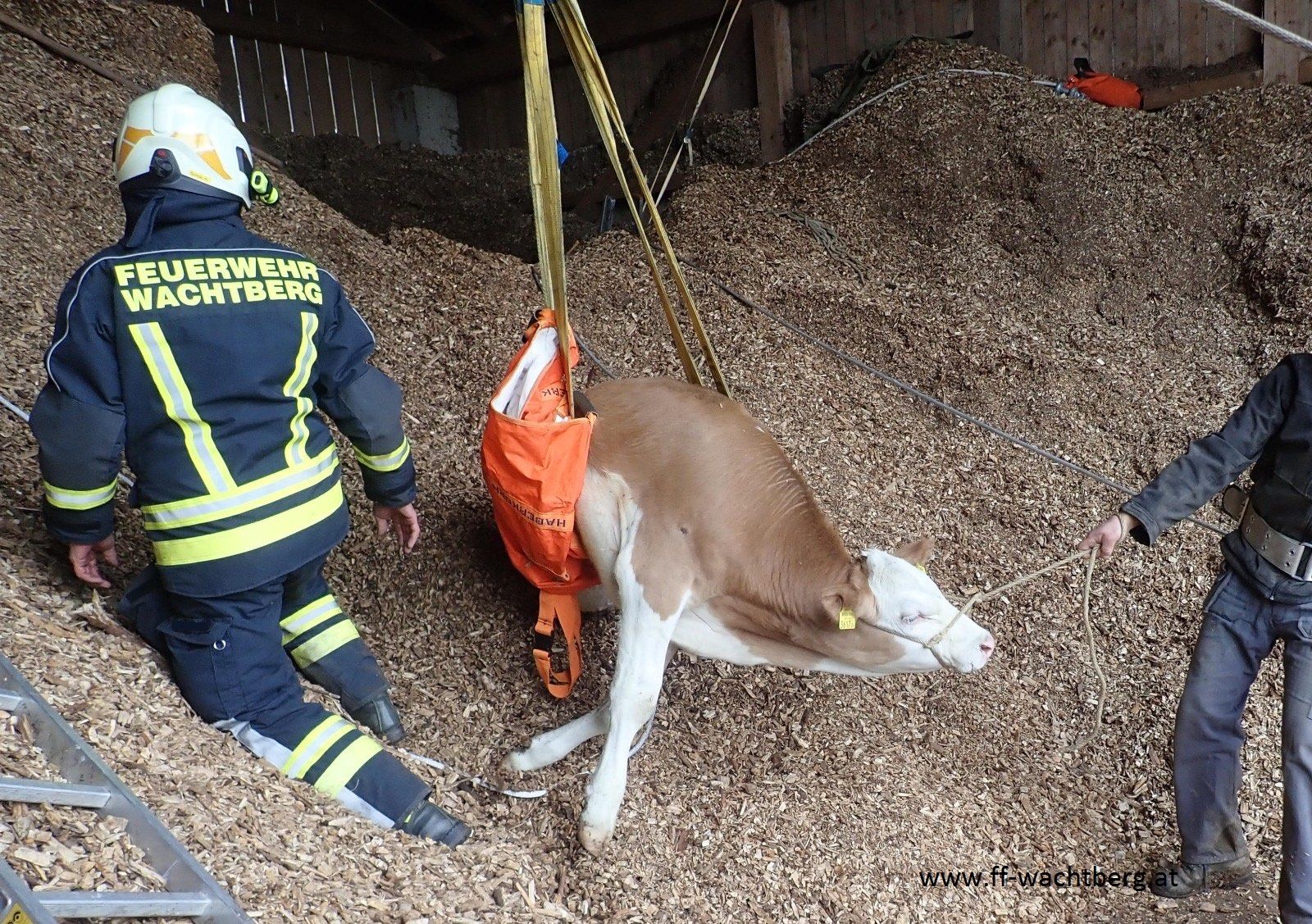 Schlussendlich war das Tier befreit.
