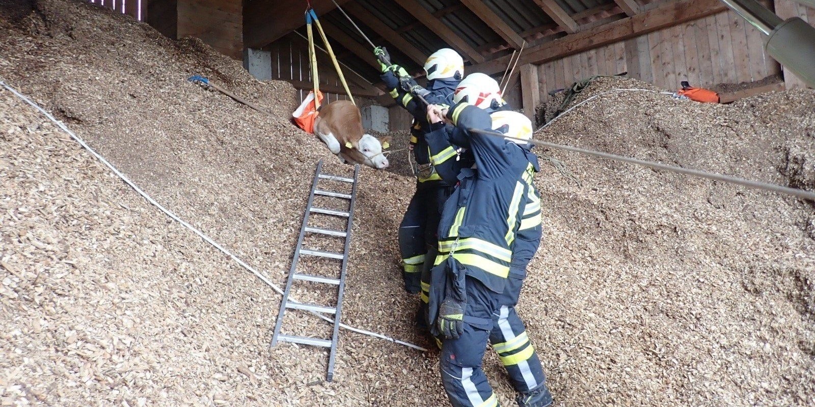 Die Florianis im Einsatz