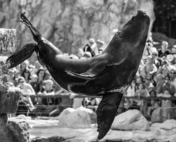 Am Mittwoch veröffentlichte der Tiergarten Schönbrunn einen berührenden Nachruf.