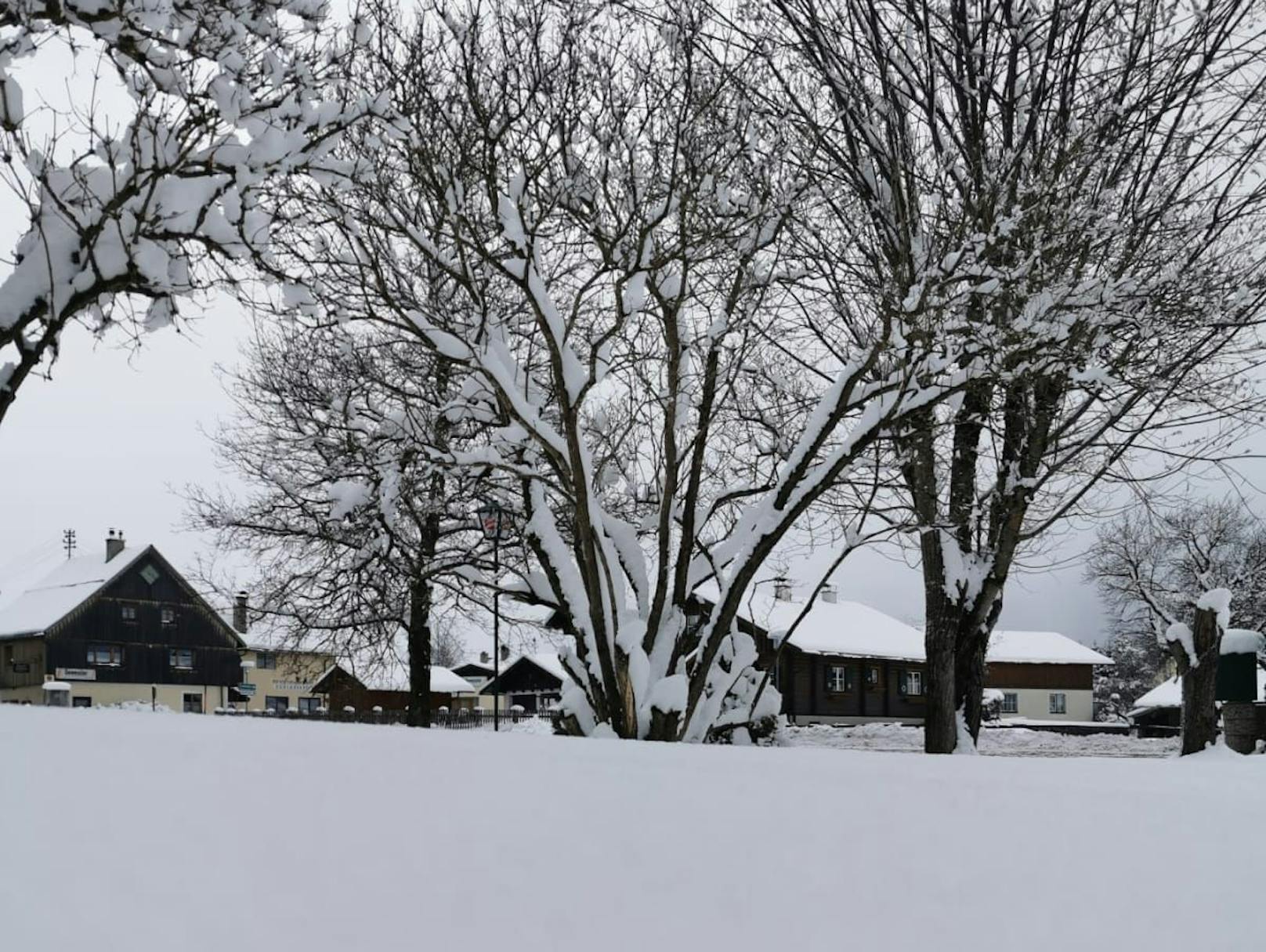Wintereinbruch in Bad Mitterndorf (Steiermark)
