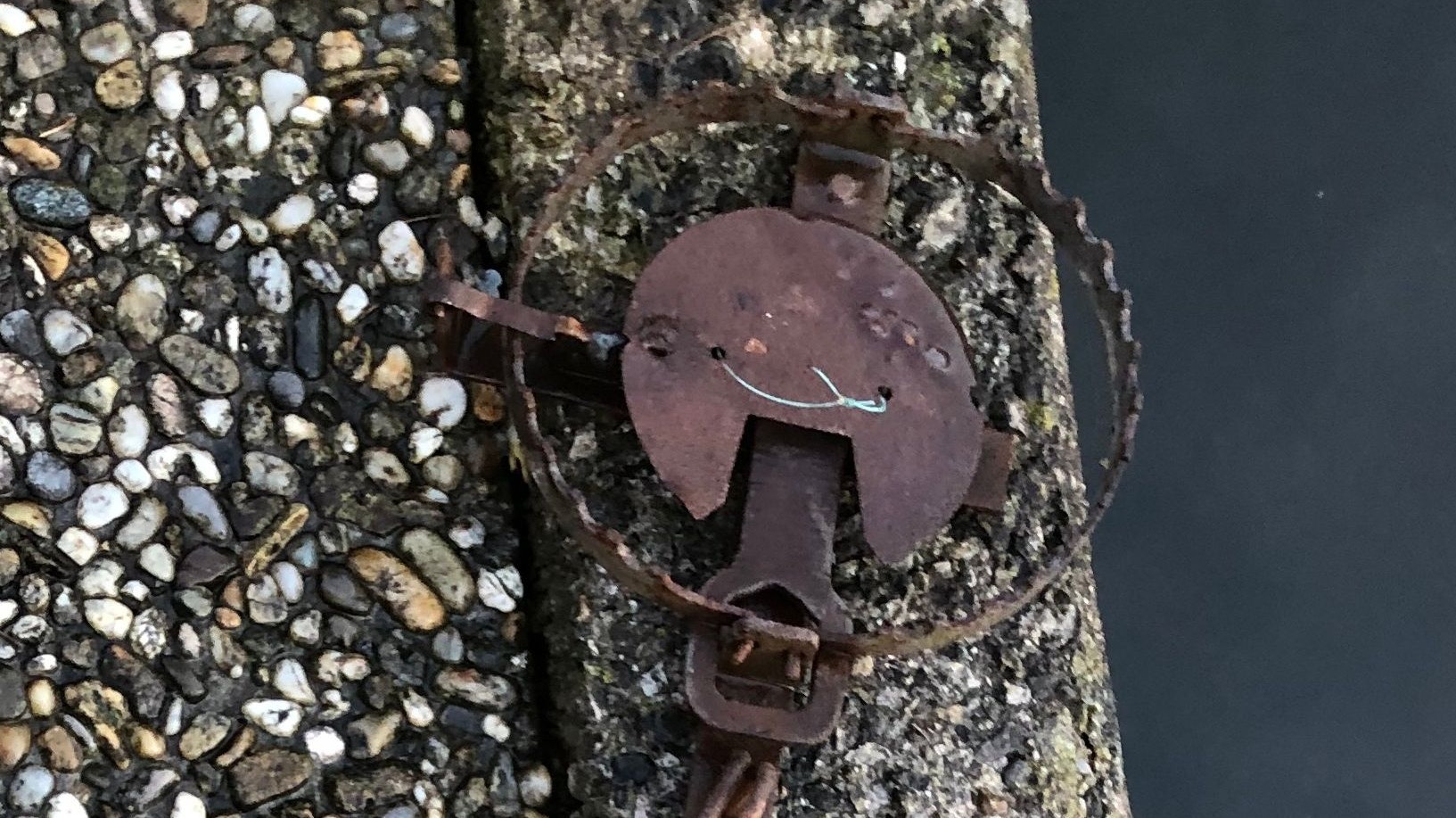 Die sogenannten Tellereisen wurden nun von Spaziergängern an einem Fischteich im Bezirk Vöcklabruck  gefunden. 