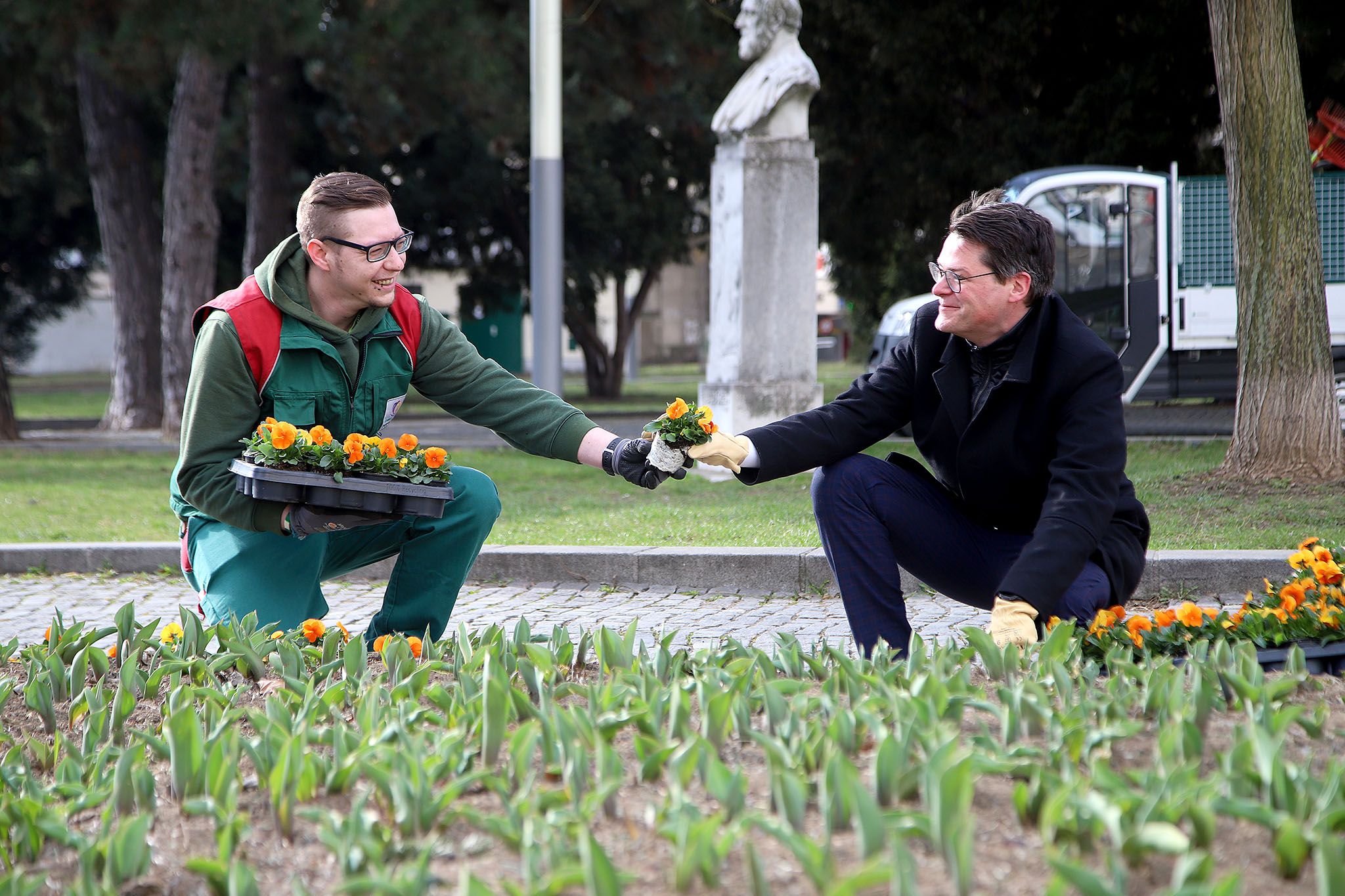 838.000 Blumen - wie die Tulpensorten "Barcelona" und "Ronaldo" und Stiefmütterchen in den Farben weiß-violett und orange - sind die Frühlingsboten 2021.