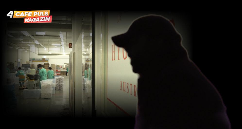 Ein Ex-Mitarbeiter der Hygiene Austria packt brisante Details aus.