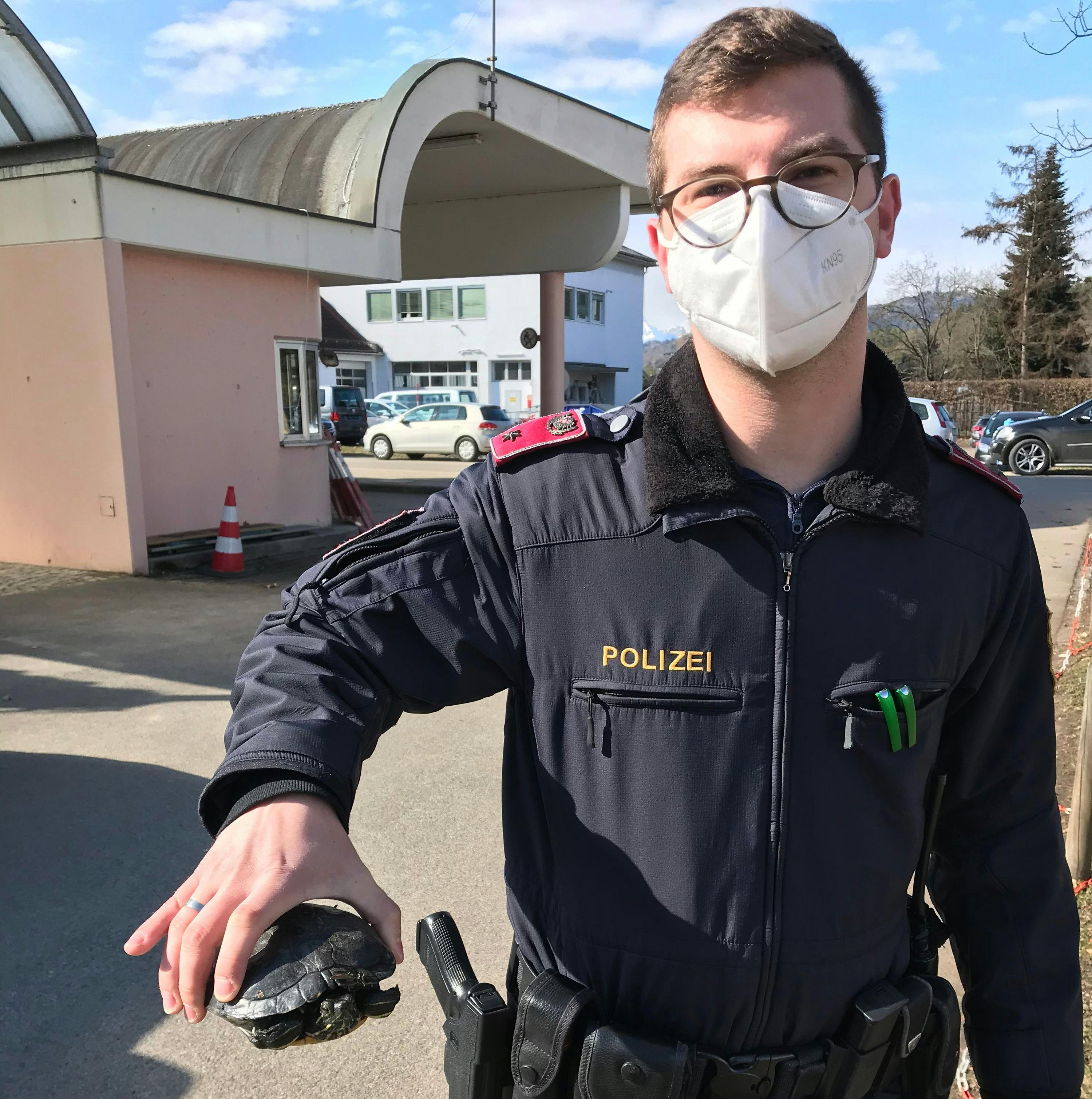 Diese Amerikanische Rotwangen-Schmuckschildkröte wurde in Moosburg ausgesetzt