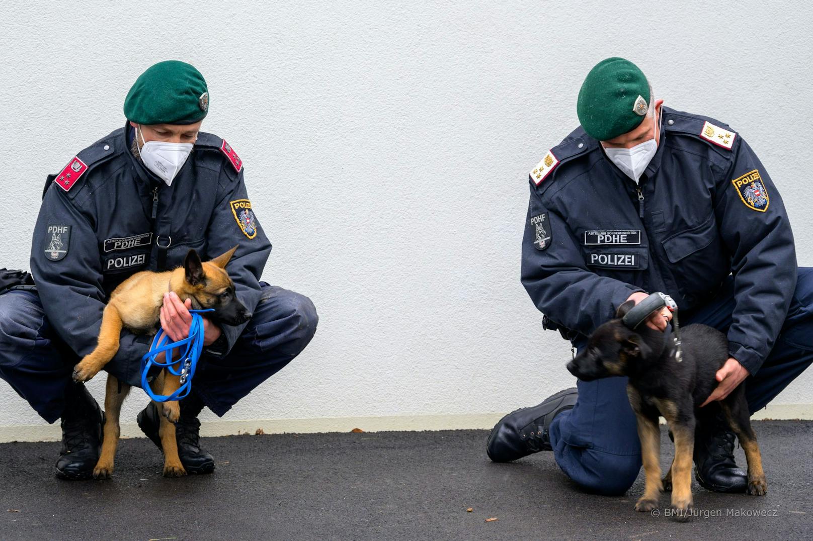 Die Zentralzwingeranlage soll künftig 20 Polizeihunde beheimaten. 