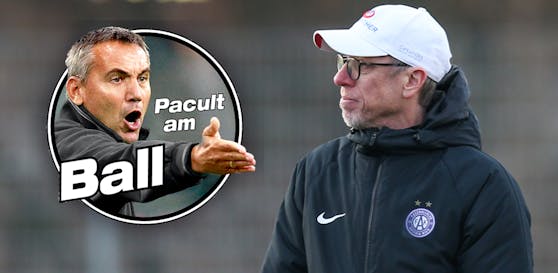 Peter Pacult: "Baumeister ist ein Violetter durch und durch, hat bei der Admira mit Jungen sehr gute Arbeit geleistet."