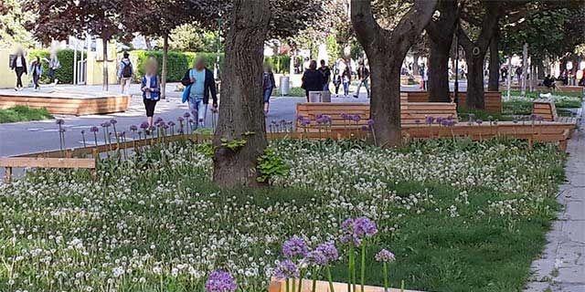 Raus aus dem Asphalt - 2021 als Start der größten Begrünungsoffensive für Plätze und Straßen