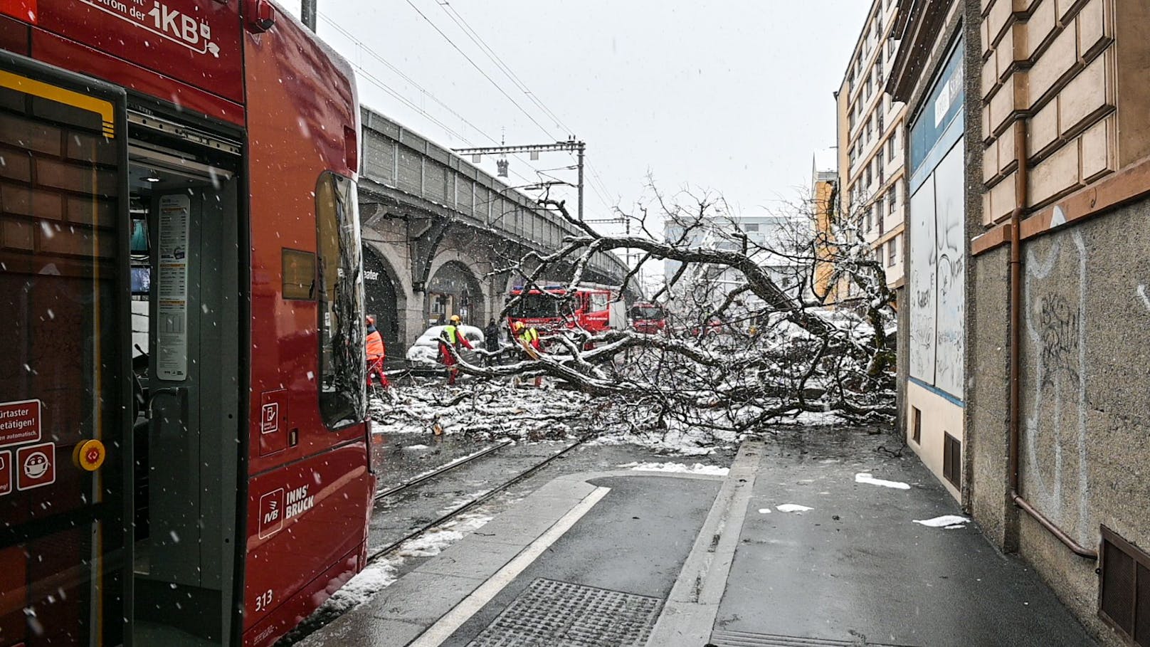 In der Ingenieur-Etzel-Straße in Innsbruck verletzte ein umstürzender Baum Montagfrüh (22.3.2021) eine Frau schwer.
