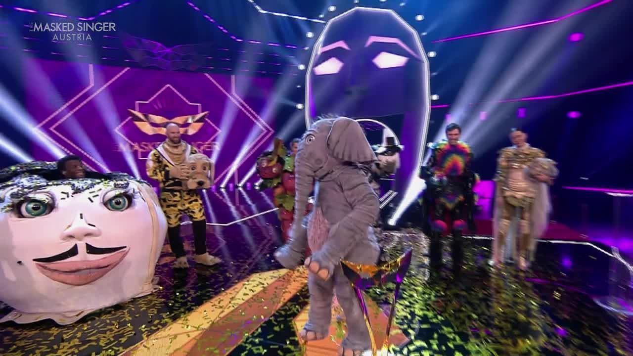 Der Babyelefant ist wieder Thema.