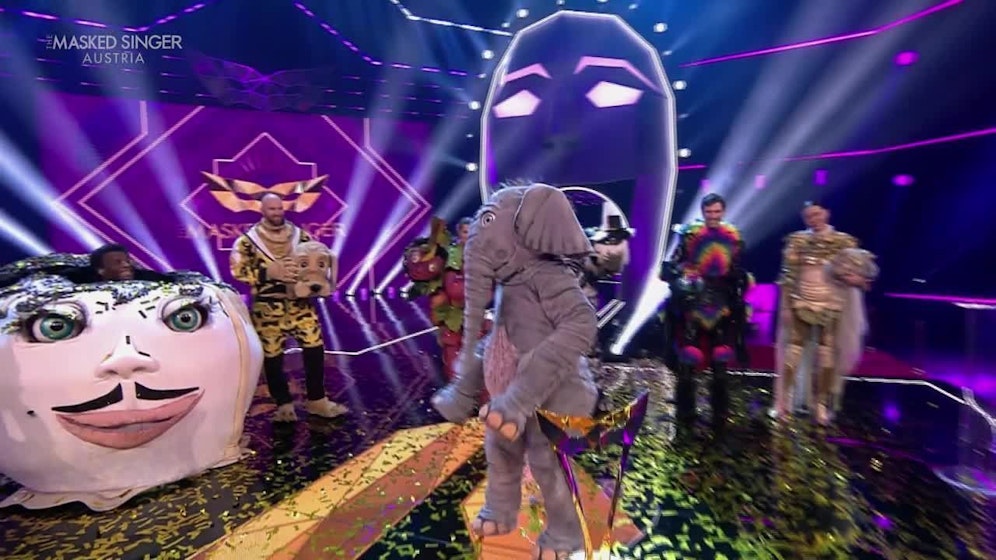 Der Babyelefant ist wieder Thema.