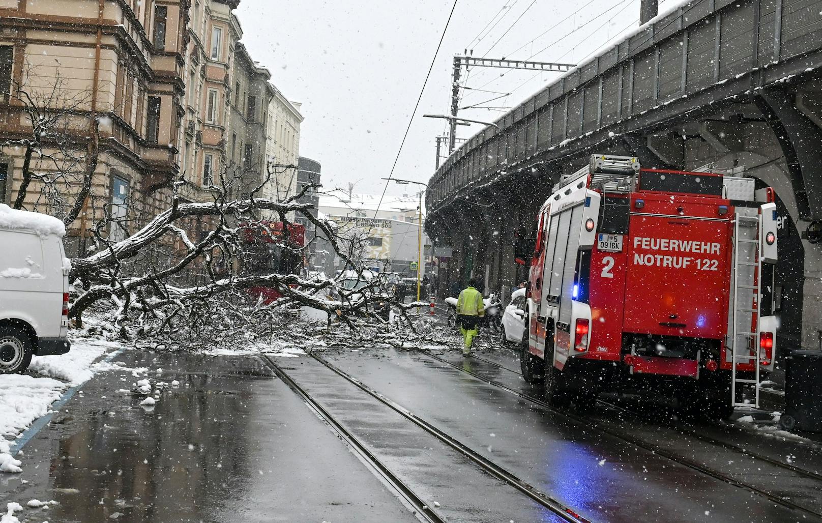 In der Ingenieur-Etzel-Straße in Innsbruck verletzte ein umstürzender Baum Montagfrüh (22.3.2021) eine Frau schwer.