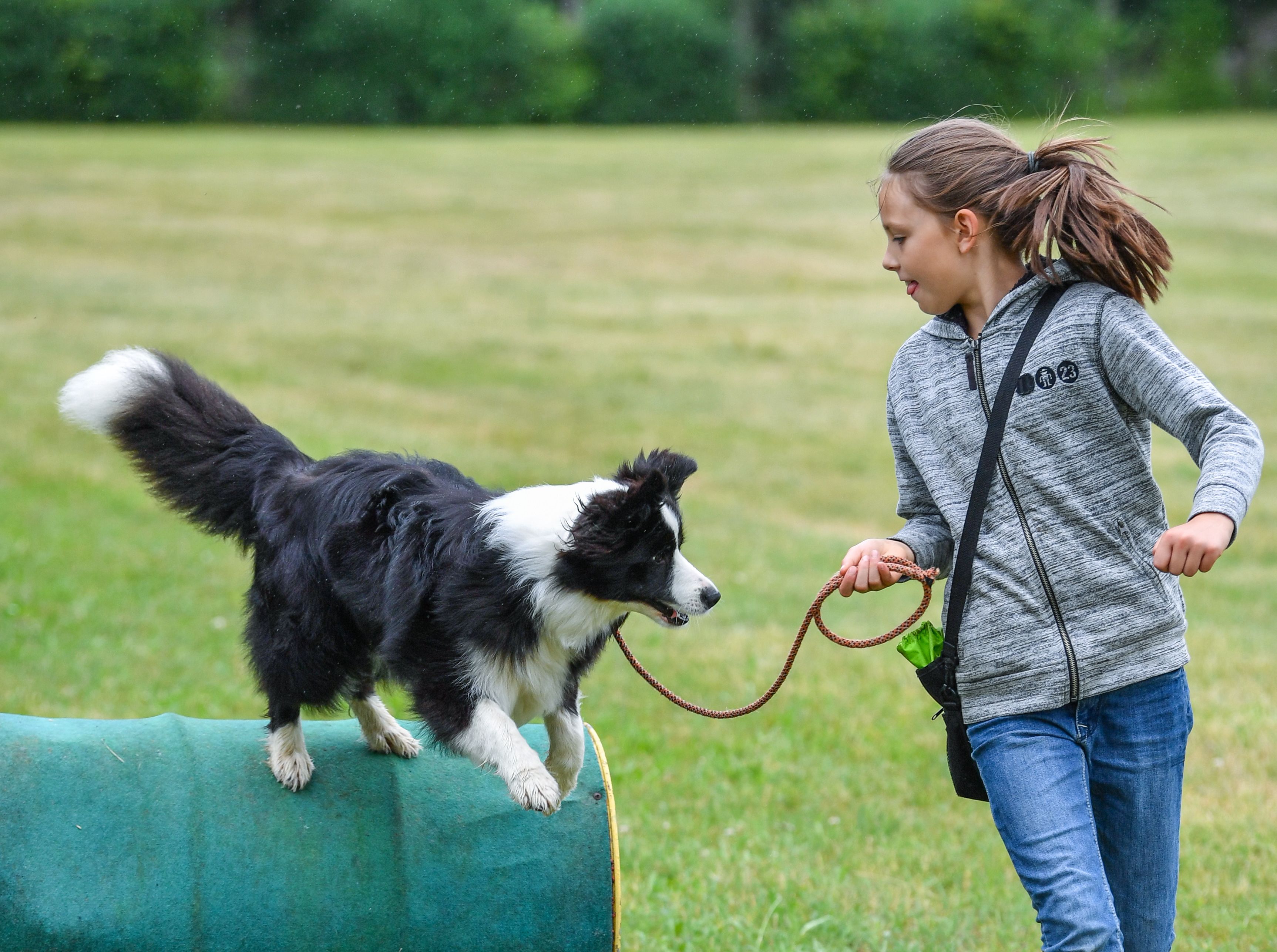 Hundeschule (Symbolfoto)