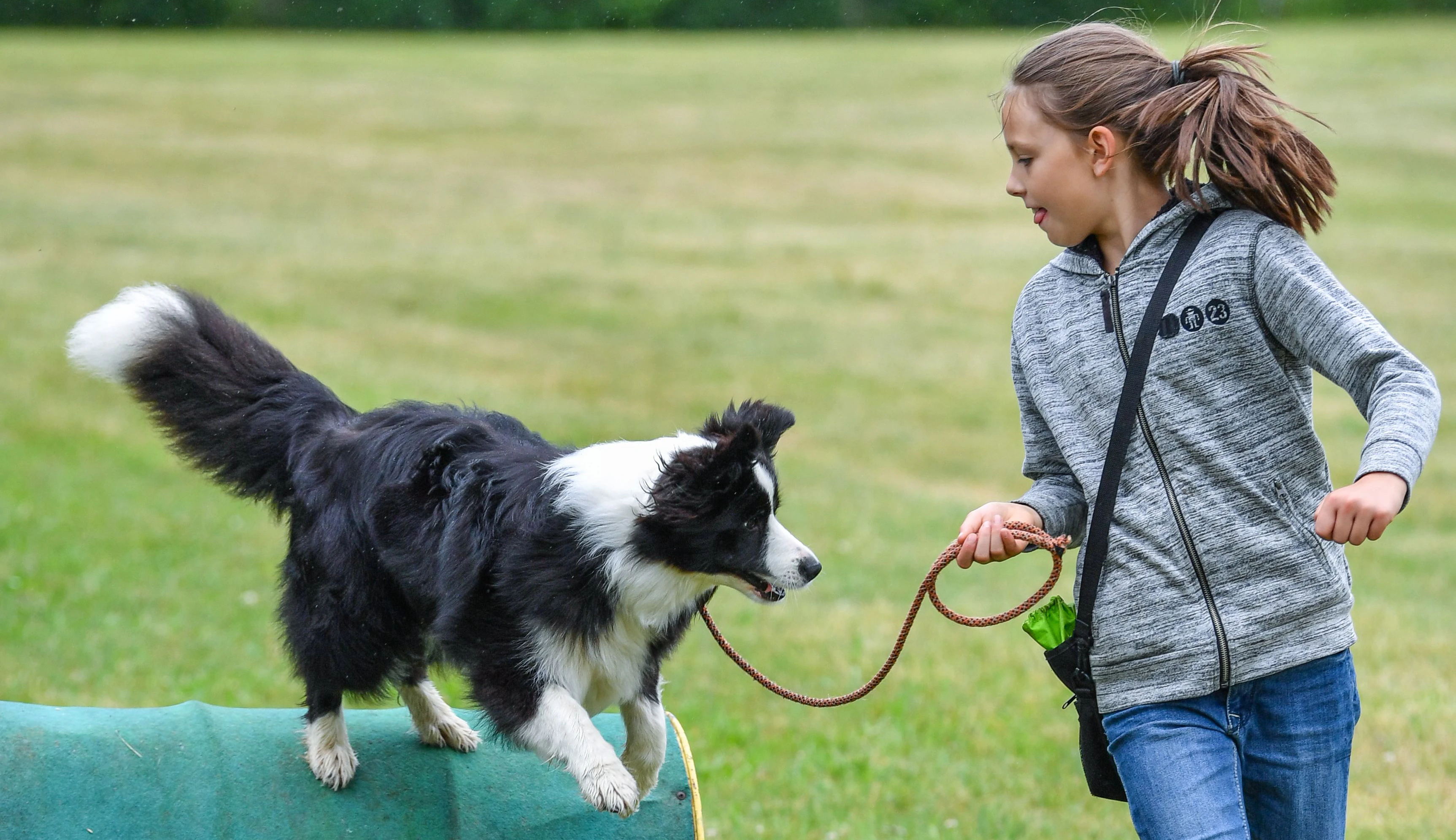 Download von www.picturedesk.com am 23.03.2021 (21:14).  The ten year old girl Amy and her Border Collie Tilda can be seen at a dog school in Alt Lebus, Germany, 25 June 2017 .- NO WIRE SERVICE - Photo: Patrick Pleul/dpa-Zentralbild/dpa - 20170625_PD13538 - Rechteinfo: Rights Managed (RM)