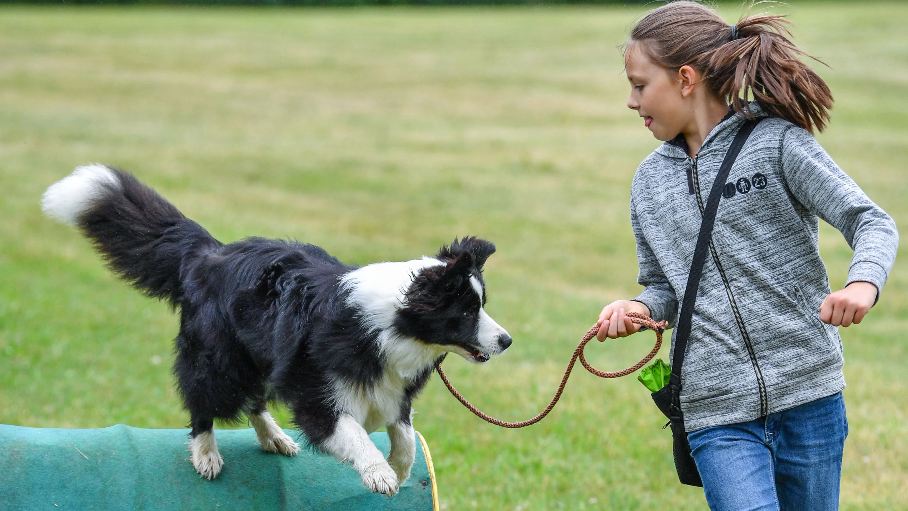 Download von www.picturedesk.com am 23.03.2021 (21:14).  The ten year old girl Amy and her Border Collie Tilda can be seen at a dog school in Alt Lebus, Germany, 25 June 2017 .- NO WIRE SERVICE - Photo: Patrick Pleul/dpa-Zentralbild/dpa - 20170625_PD13538 - Rechteinfo: Rights Managed (RM)