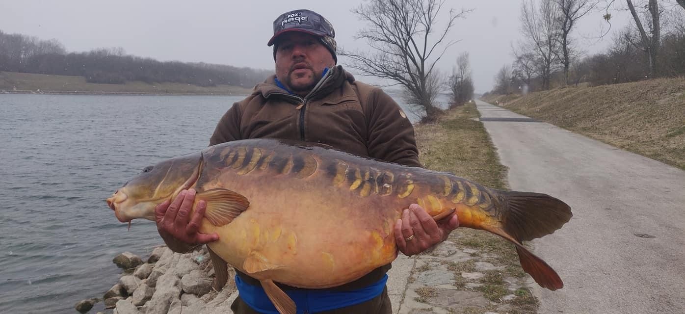 Leser Dragan ließ den Fisch nach dem Shooting wieder ins Wasser.