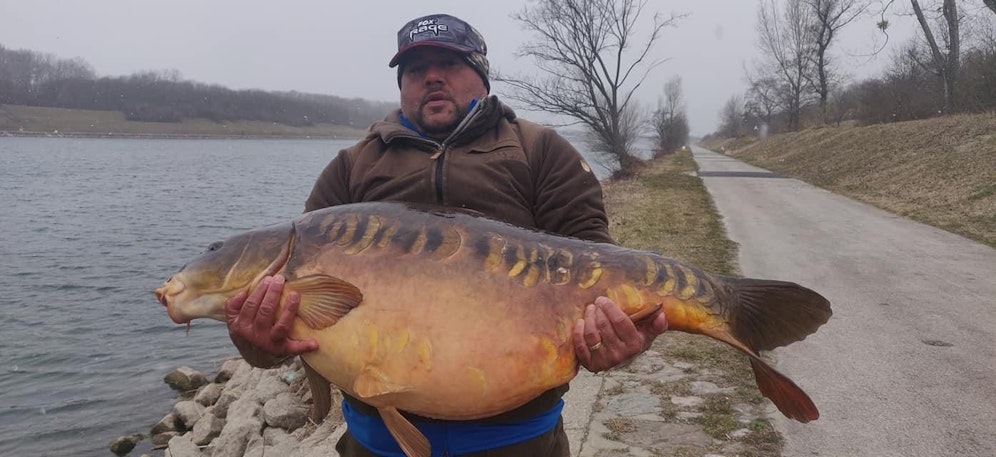 Leser Dragan ließ den Fisch nach dem Shooting wieder ins Wasser.