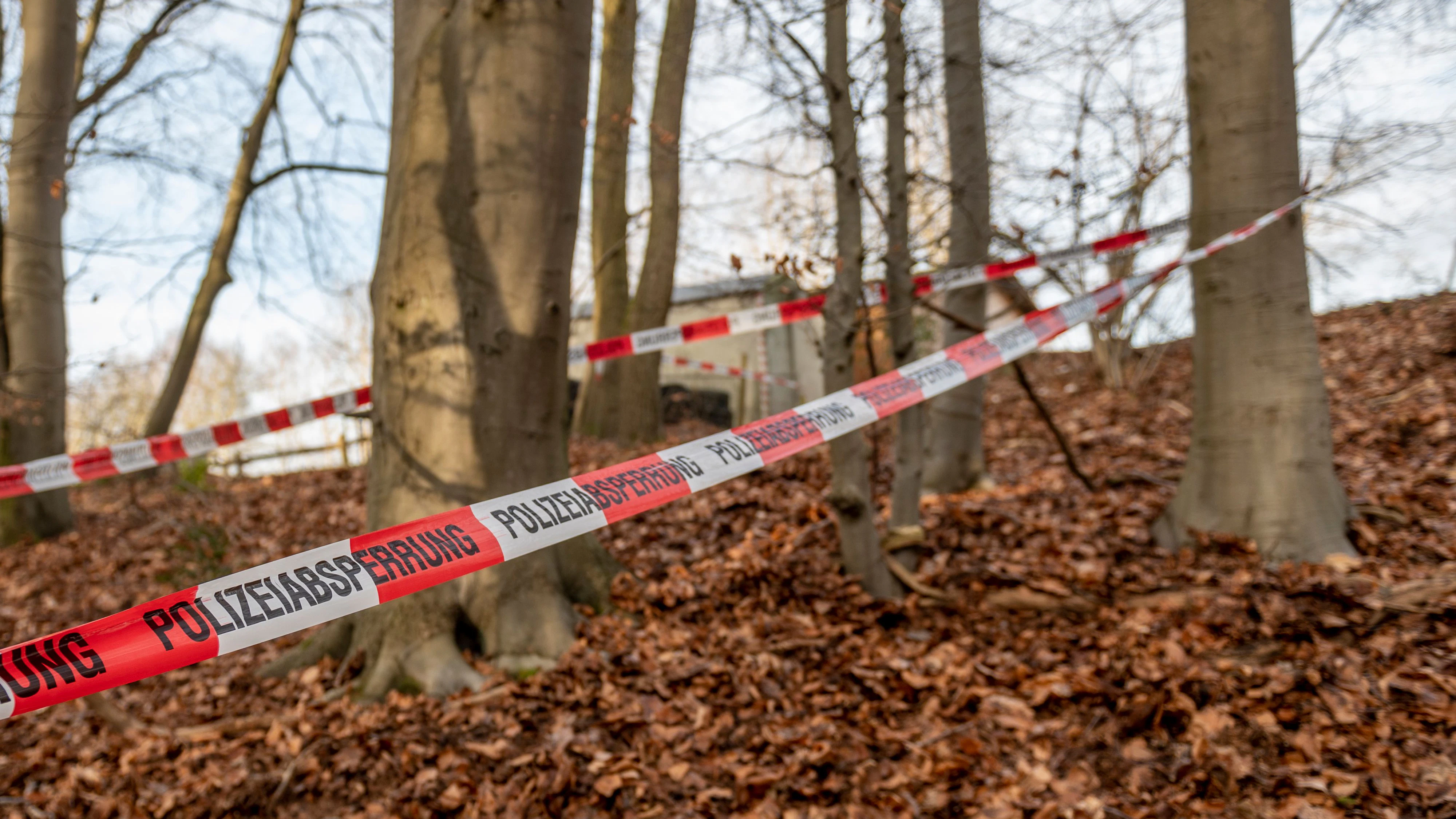 Polizei-Absperrband in einem deutschen Wald. Symbolbild