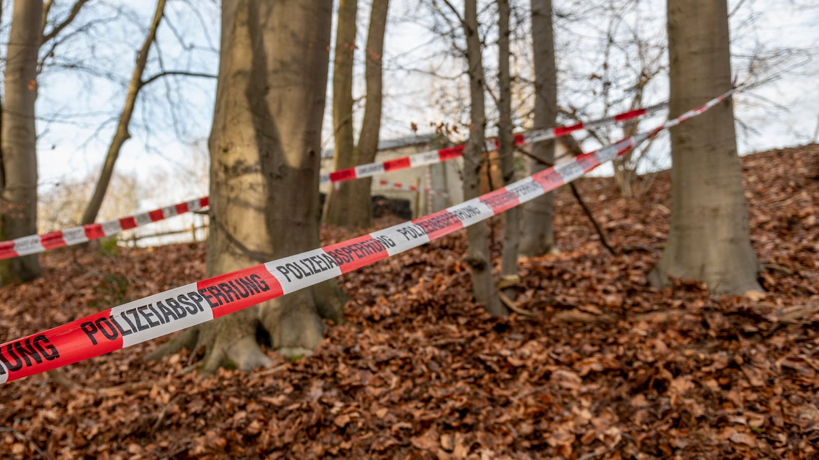 Polizei-Absperrband in einem deutschen Wald. Symbolbild