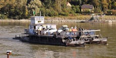 Donaufähren in NÖ starten wieder in die Saison