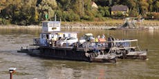 Donaufähren in NÖ starten in die neue Saison