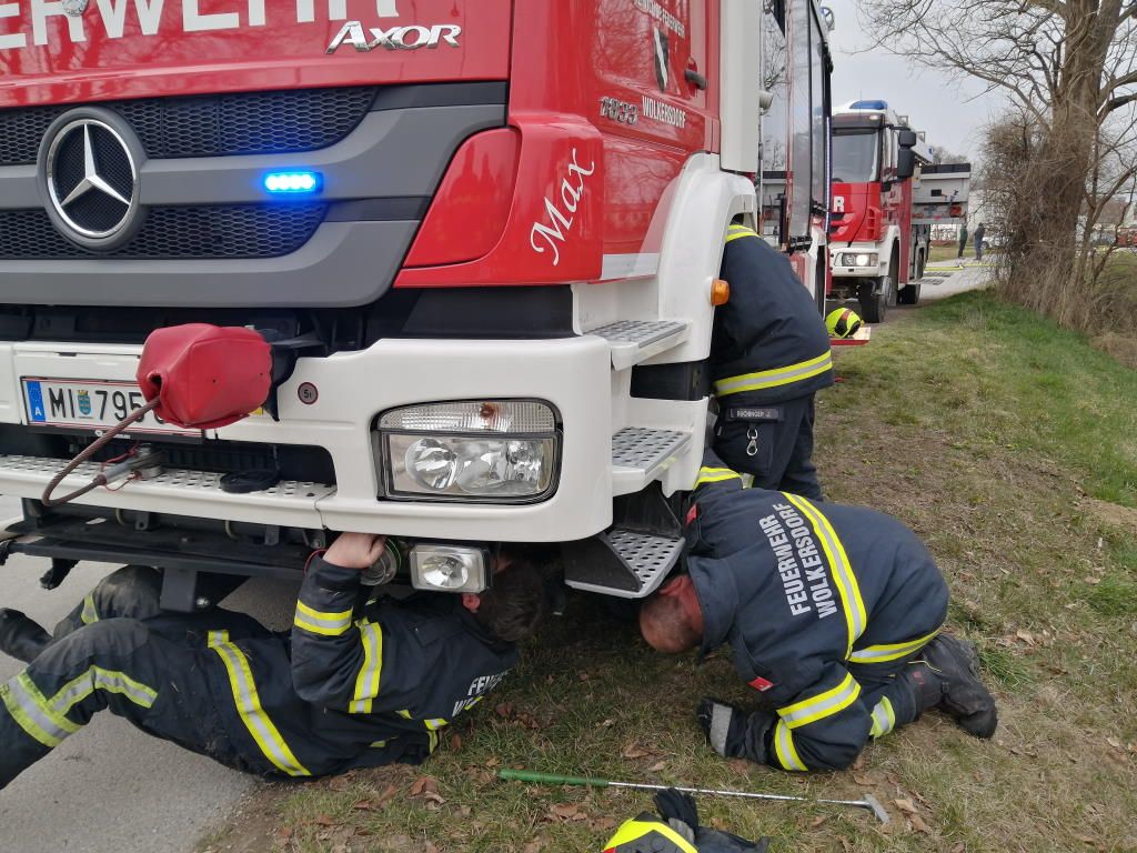 Die Katze wurde behutsam aus dem Motorraum geholt.