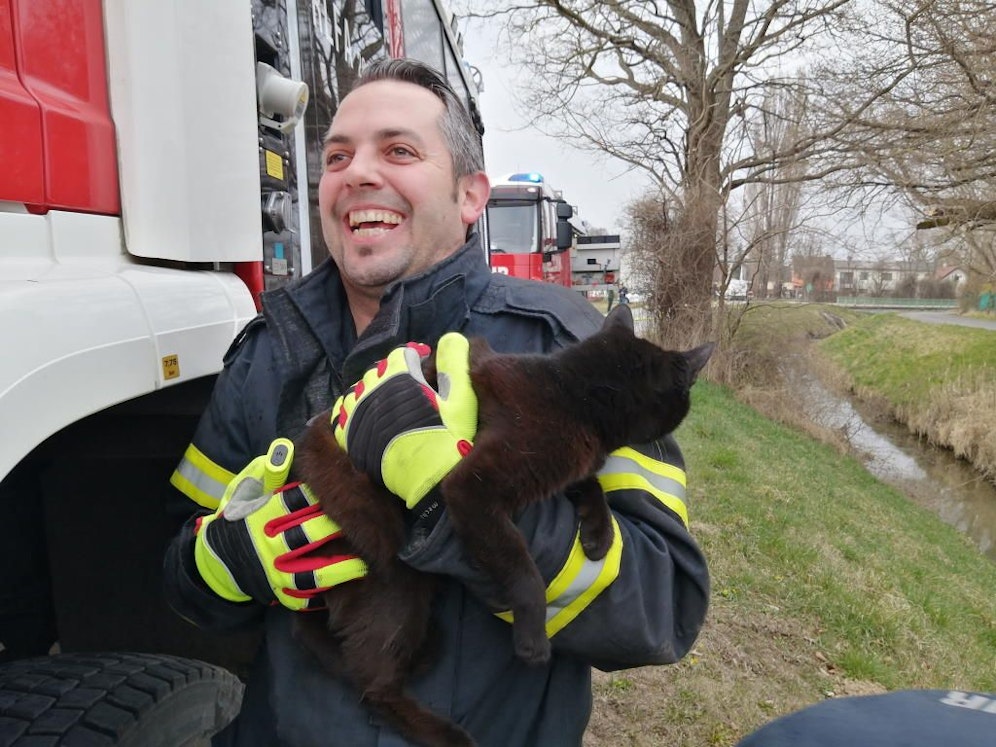 Die verängstigte Katze wurde von den Florianis gerettet.