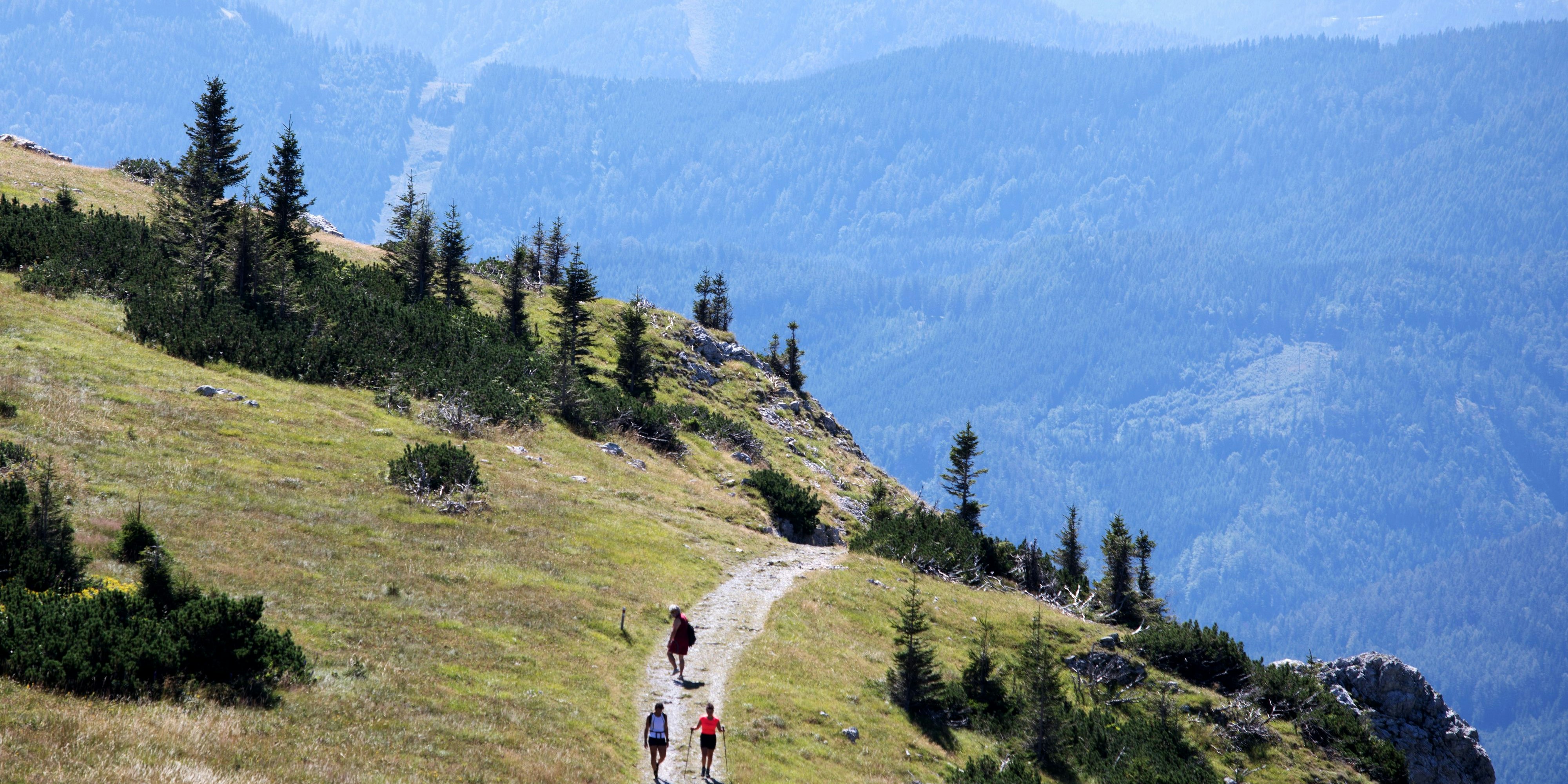 Wer die Wiener Hausberge besuchen möchte, braucht einen negativen Coronatest.