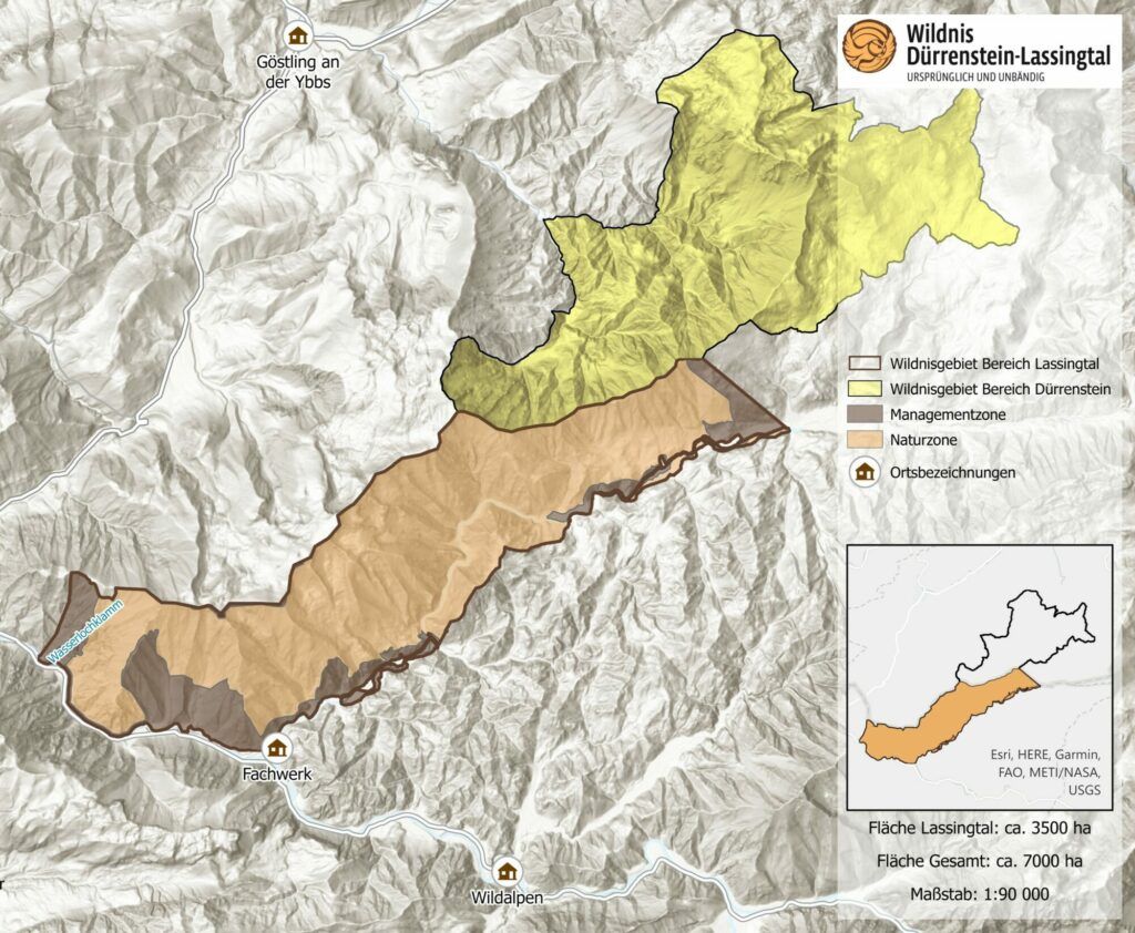Das Wildnisgebiet wird mit dem Lassingtal zusammen geschlossen.