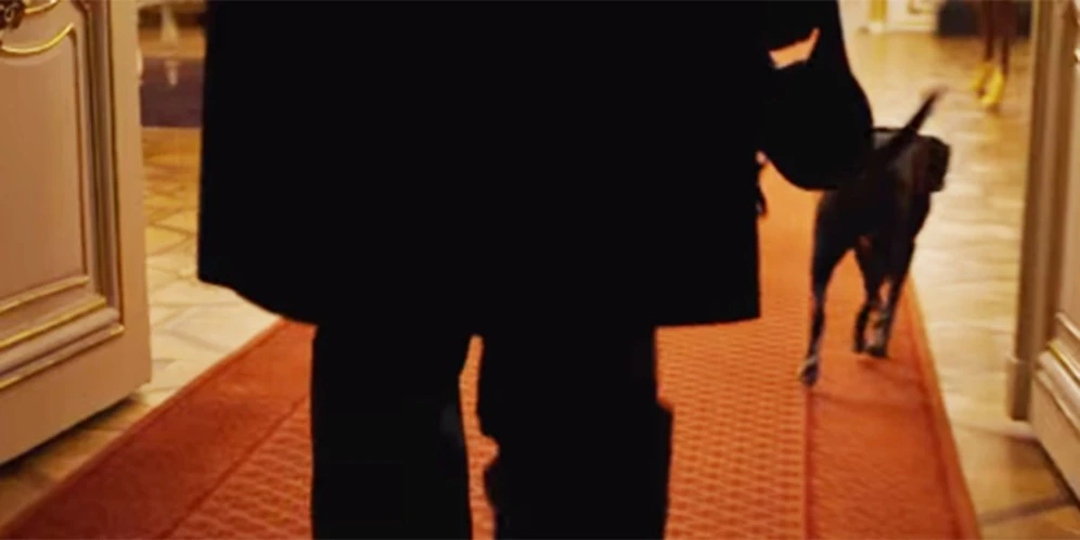 Im Zuge der Earth Hour löschten Alexander Van der Bellen und sein Hund&nbsp;Juli die Lichter der Hofburg.