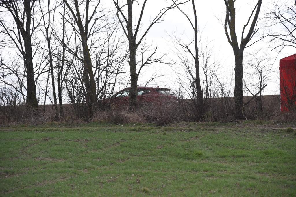 Mordalarm im Bezirk Mistelbach: Ermittler vor Ort