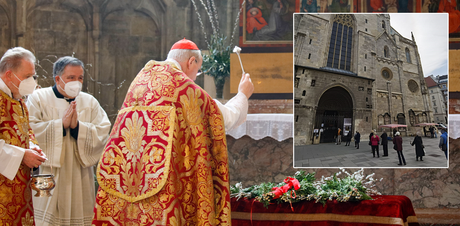 Am Palmsonntag wurden im Stephansdom Corona-konform Palmkätzchen gesegnet