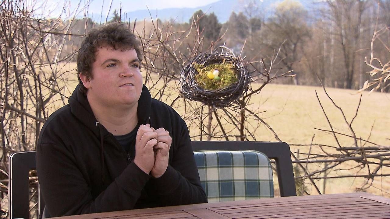 Heute.at - Familie wandert zu, will Sozialgeld und wird ausgewiesen