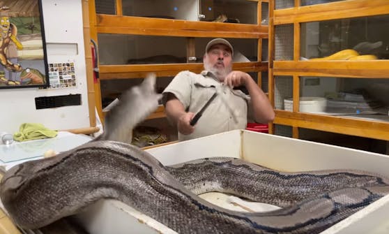 Jay Brewer aus Kalifornien hat eine Obsession mit Schlangen und Reptilien.