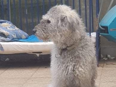 Lara ist seit Monaten abgängig.