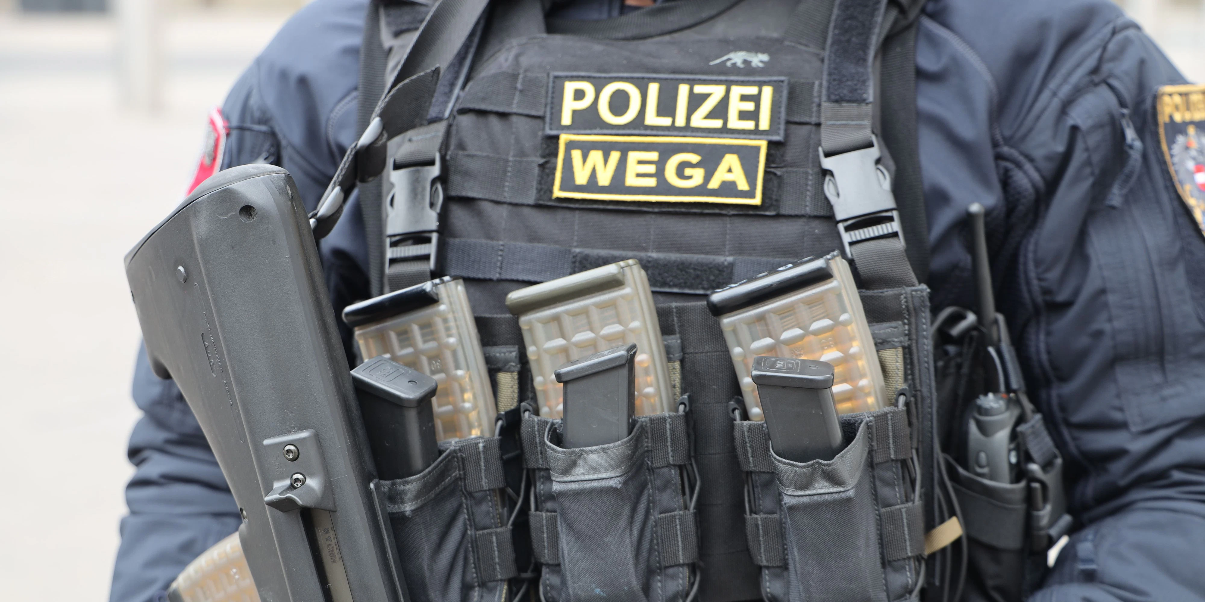 Beamte der WEGA führten die Hausdurchsuchung in der Donaustadt durch.