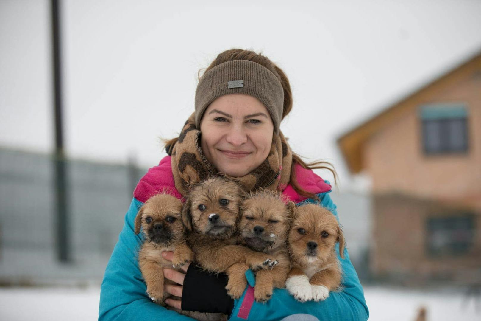 Tamara Binder vom Tierheim Freistadt kümmerte sich liebevoll um die süßen Hundebabys.