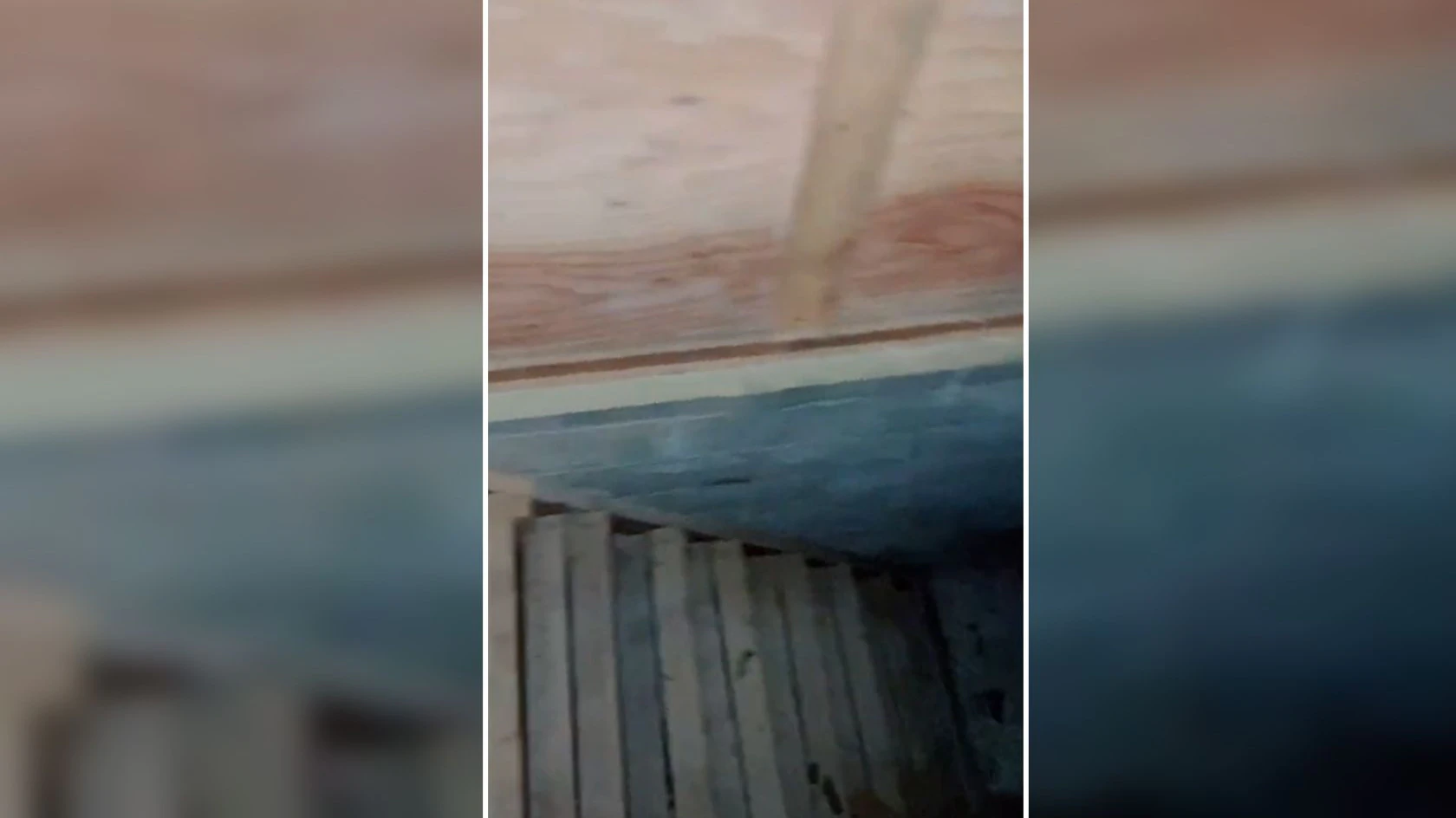 Über eine versteckte Bodenluke kam man in ein gruseliges Kellerabteil