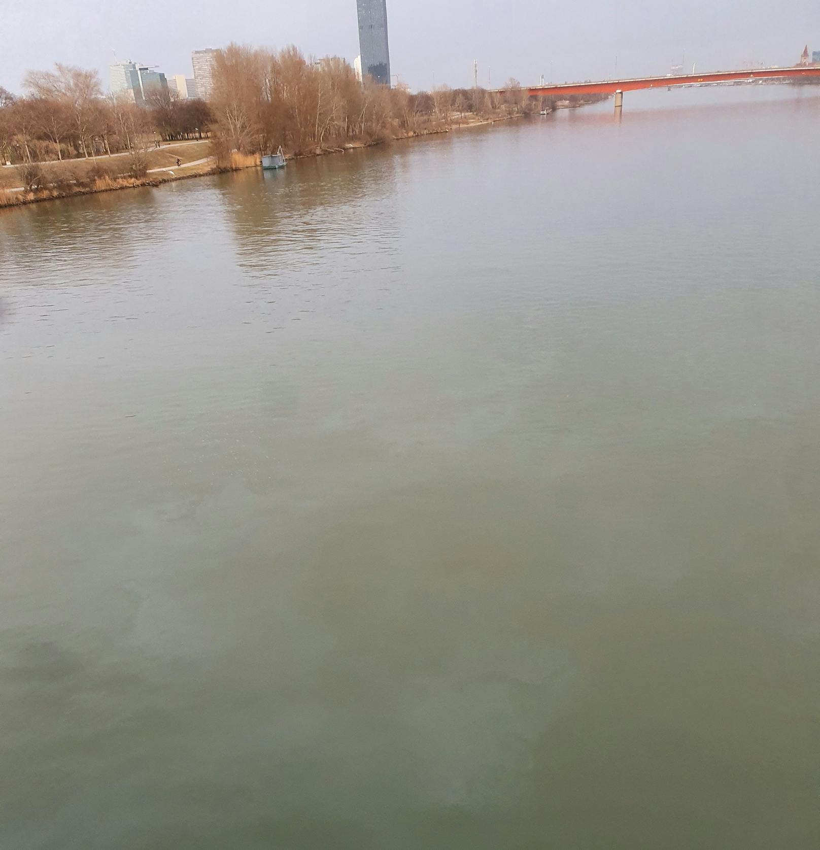 Mehrere Leser entdeckten am Donnerstag einen Ölteppich auf dem Gewässer in Wien.
