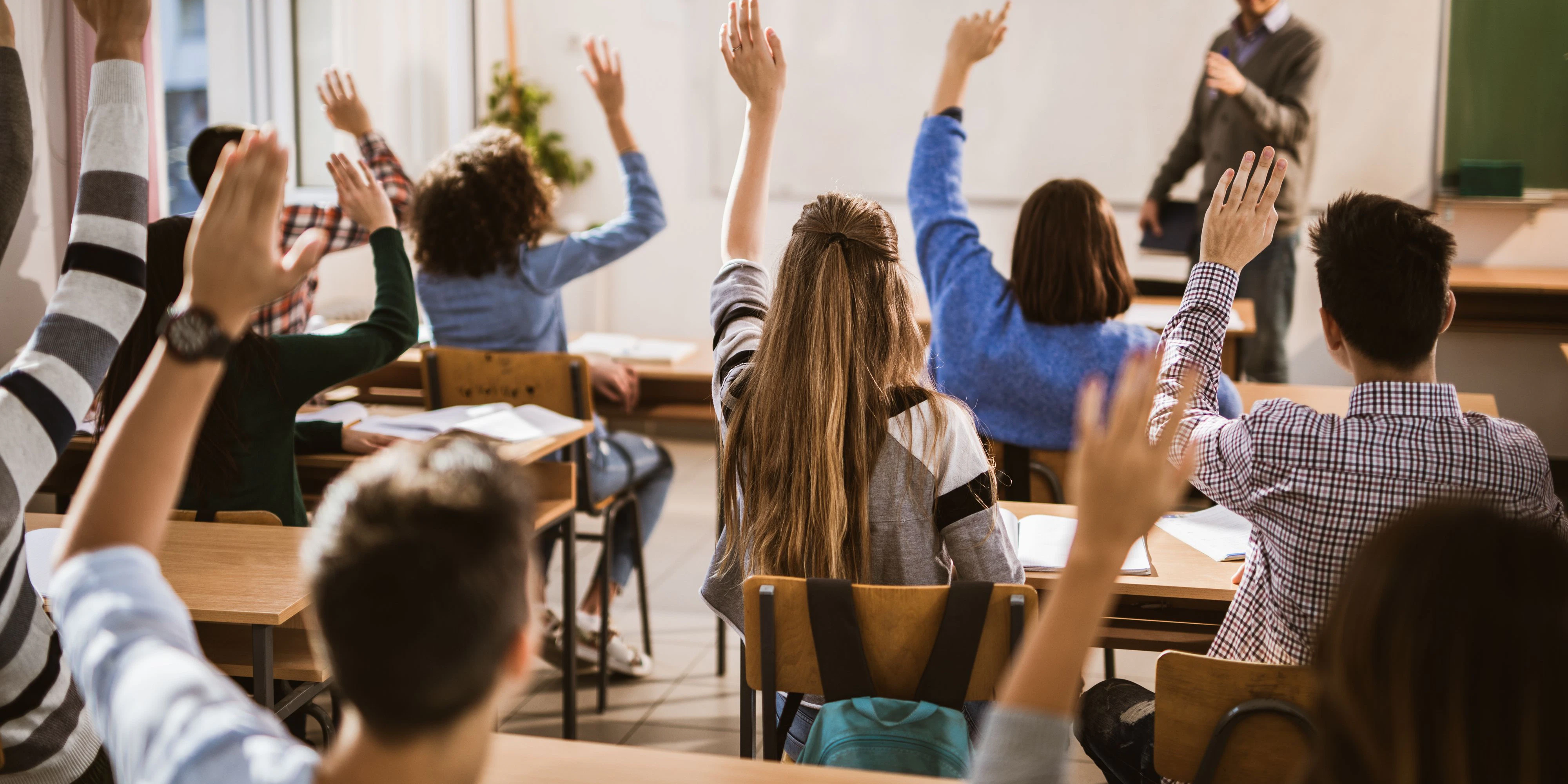 Symbolbild - Rear view of large group of students raising their hands to answer the question on a class.