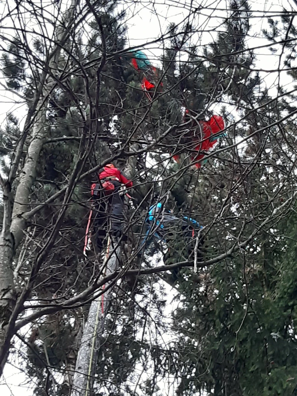 Einsatzkräfte retteten die Paragleiterin.