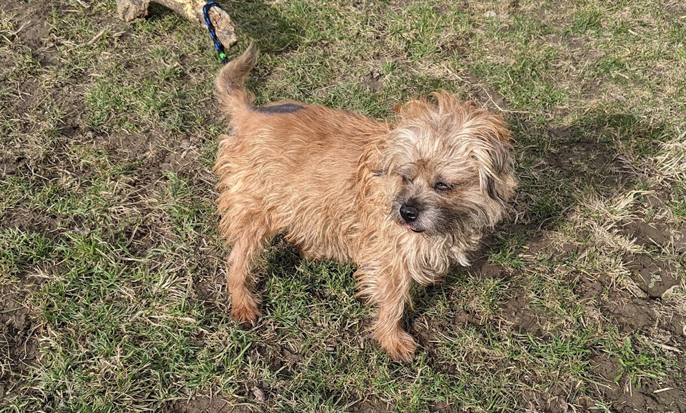 Klein aber oho! So sieht eine Heldin aus! 