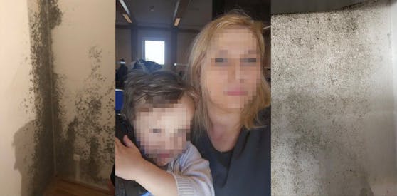 So verschimmelt ist die Gemeindewohnung einer Wiener Familie.