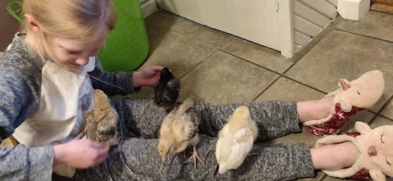 Familie Aindow starteten ein Experiment - mit Erfolg!