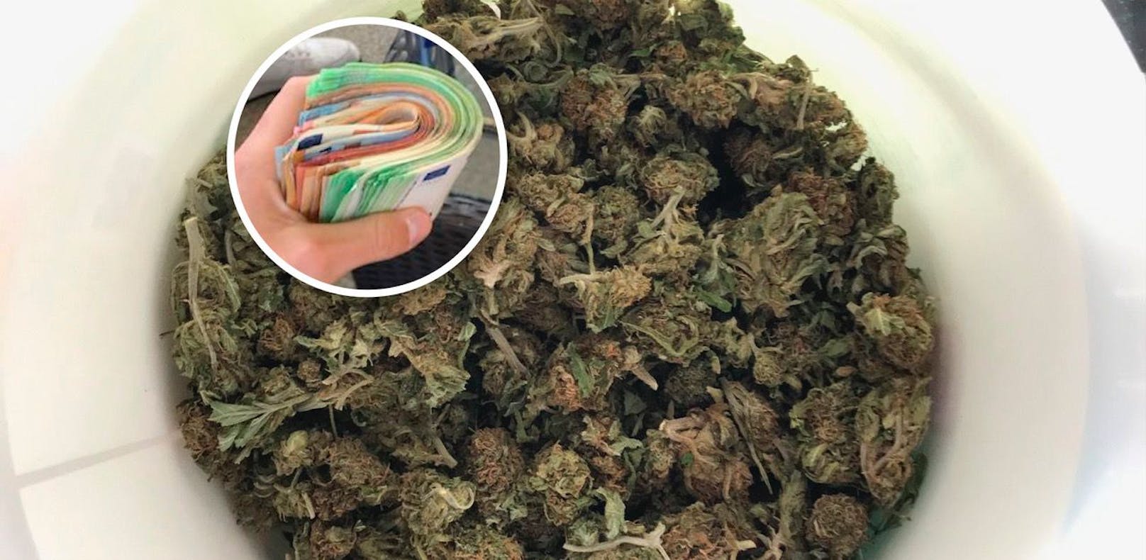 Der 18-jährige Schüler verkaufte laut Polizei Cannabis, Ecstasy und Kokain an Jugendliche.
