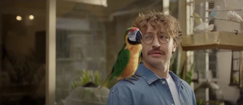 Benimmkurs für den Papagei.