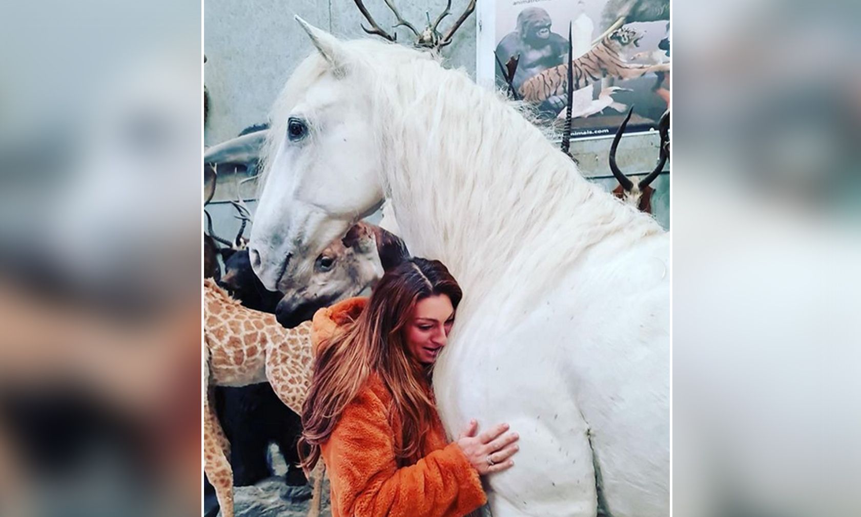 Der präparierte Schimmel wird zukünftig die Eingangshalle des Reality-Stars zieren. 