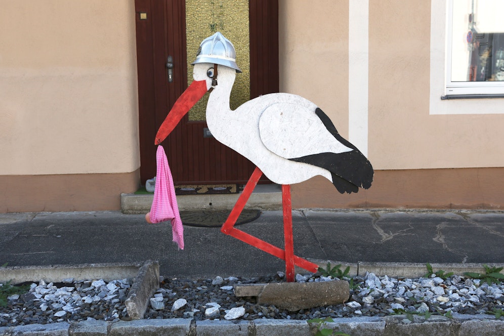 Die Storchenfeier in Steinhaus sorgt für Wirbel.