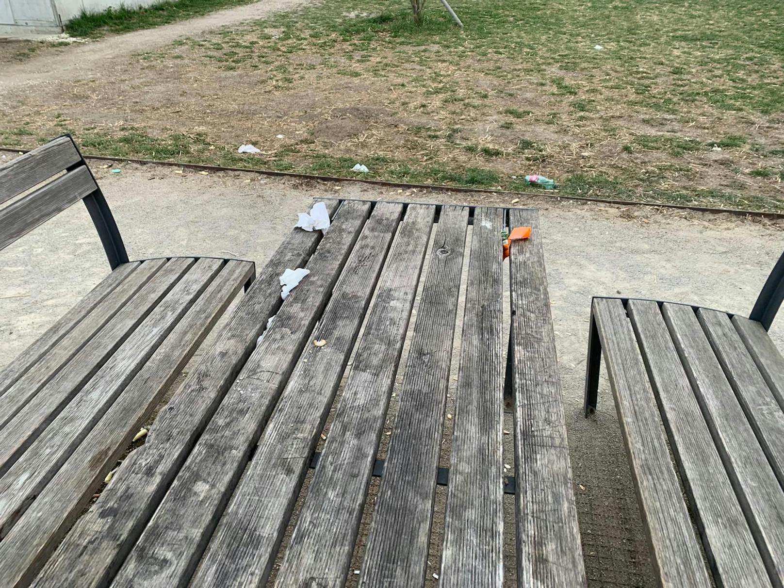 Christoph (35) machte die Fotos am Montagmorgen während eines Spaziergangs mit seinem Hund. 